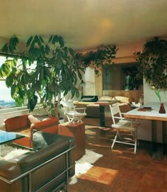 a living room filled with furniture next to a window covered in plants and greenery