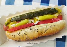 there is a hot dog with pickles and onions on it