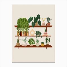 a shelf with plants and potted plants on it