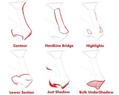 the different types of foot shapes and how to use them for each type of shoe