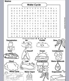 the water cycle worksheet