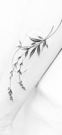 a black and white photo of a branch tattoo on the arm, with leaves coming out of it