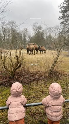 two toddlers looking at horses in a field