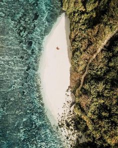 an aerial view of a sandy beach and forested area next to the ocean with a lone person on it