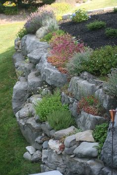 a garden with rocks and plants growing on the side of it, next to a lawn