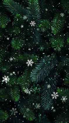 snowflakes and pine needles are seen in this christmas tree photo printable background