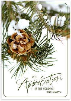 a pine cone with snow on it and the words appreciation at the holidays and always