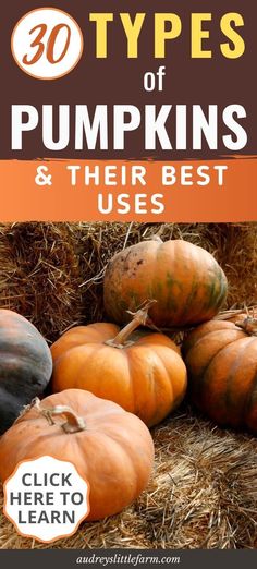 pumpkins and their best uses are shown with the title, 30 types of pumpkins and their best uses