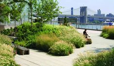 people are sitting on benches near the water and trees in front of a cityscape