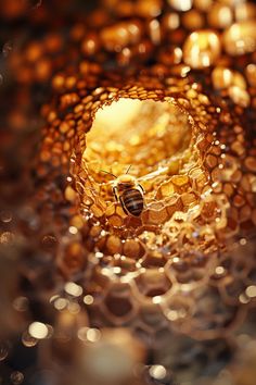 a honeybee in the center of a beehive with lots of bubbles around it