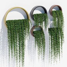 two circular metal sculptures with green plants growing out of them, against a white background