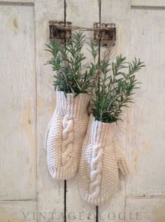 two knitted mittens hanging from a hook on a wall with plants in them