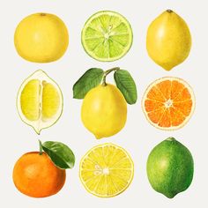 an image of lemons, oranges and limes on a white background with green leaves