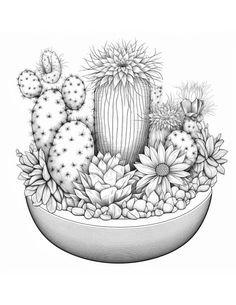 a black and white drawing of cactuses in a bowl