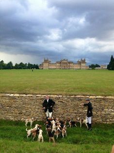 two men in tuxedos are standing by a stone wall with dogs on the grass