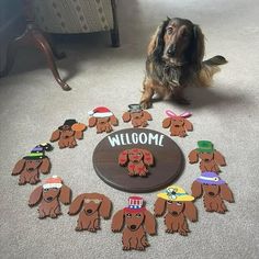 a dachshund dog sitting in front of a sign that says welcome to the dogs