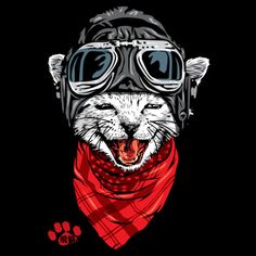 an image of a cat wearing goggles and a bandana with his mouth open