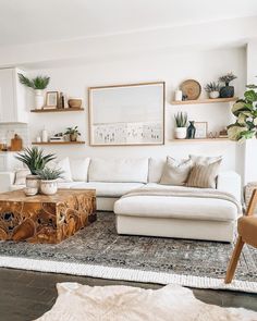 a living room with white furniture and plants on the shelves above it, along with a large rug