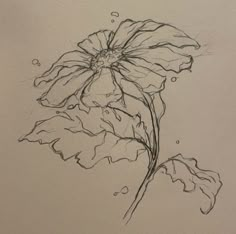 a drawing of a flower with drops of water on it