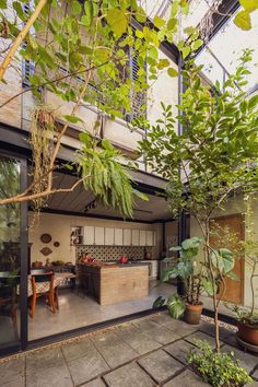 an outdoor kitchen and dining area with plants in pots on the floor, surrounded by large windows