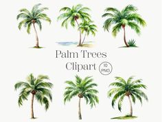 palm trees clipart for commercial use