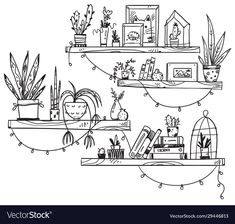 shelves with plants and books on them in black and white colors illustration for the interior