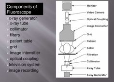 the components of a microscope are labeled in this diagram, which shows how they work