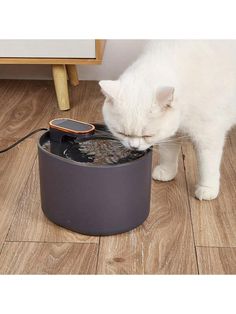 a white cat drinking water out of a black container on the floor next to a phone