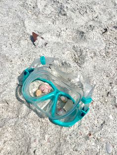 an empty water bottle sitting on the ground next to some rocks and shells in it