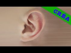 an ear is shown with the words crea on it