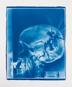 a blue and white photograph of a human skull