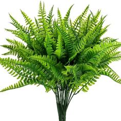 Product Description A length of 35-43cm/13.78in-16.92in (adjustable length) Each bunch has 7 flexible stems and dense leaves. Fake Boston Fern Greenery is uv resistant and never fade. Artificial plants are perfect for any landscaping project or decor style without having to worry about sunlight, watering, pruning or other maintenance; These lifelike fake plants add a charming charm to your front porch, walkway, garden,kitchen, windowsill,living room, dining table, bedroom, terrace and garden fen Fern Plants, Bush Plant, Boston Fern, Artificial Plants Outdoor, House Fashion, Planting Shrubs, Fern Plant, Fake Plants, Landscape Projects