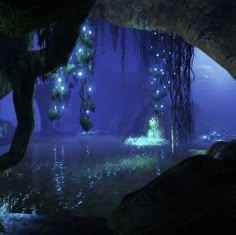 an underwater scene with blue lights in the water and plants growing out of the rocks