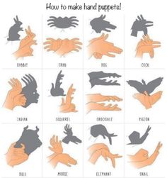 an image of hand gestures on the app