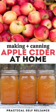 three jars filled with apple cider sitting on top of a table next to apples