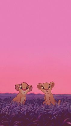 two lion cubs sitting in the middle of a field under a pink sky at sunset