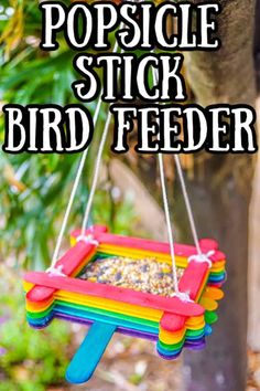 popsicle stick bird feeder hanging from a tree with text overlay reading popsicle stick bird feeder