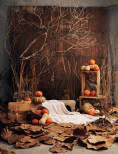 a pile of leaves and pumpkins sitting in front of a wooden paneled wall