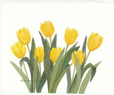 watercolor painting of yellow tulips on white paper