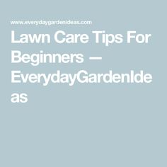 the words lawn care tips for beginners - everyday gardenide as