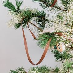 christmas tree branches with white flowers and brown ribbon