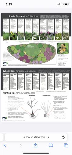 an iphone screen showing the different types of plants