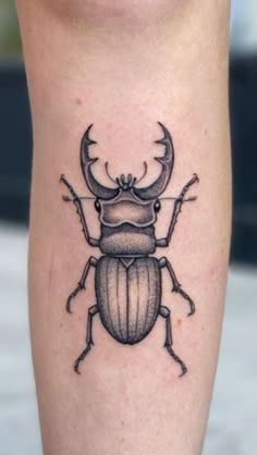 a beetle with horns and antlers on its back leg is shown in black ink