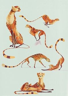 four different types of animals are depicted in this illustration, including giraffes and cheetah