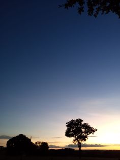 the sun is setting behind a lone tree