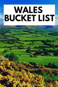 the cover of wales bucket list with yellow flowers in front of green fields and hills