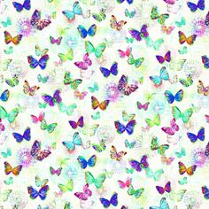 many colorful butterflies on a white background