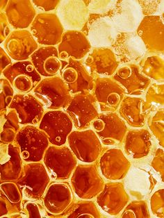 honey cells with water droplets on them