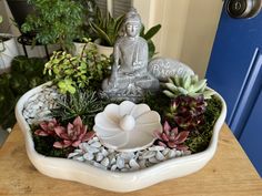 a buddha statue sitting on top of a white bowl filled with succulents