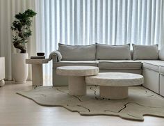 a living room with a couch, coffee table and potted plant in the corner